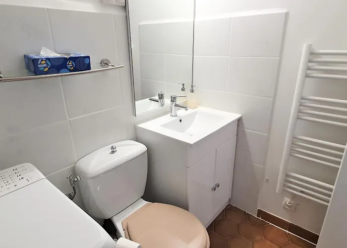 A Avec Parking, Balcon, Animaux Admis - Fr-1-780-37 Apartment *