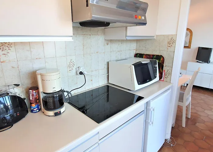 아파트 A Avec Parking, Balcon, Animaux Admis - Fr-1-780-37 생트막시메